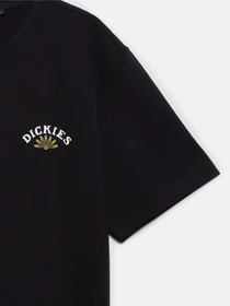 Футболки і поло Dickies Fort Lewis модель DK0A4XO7BLK1 Фото