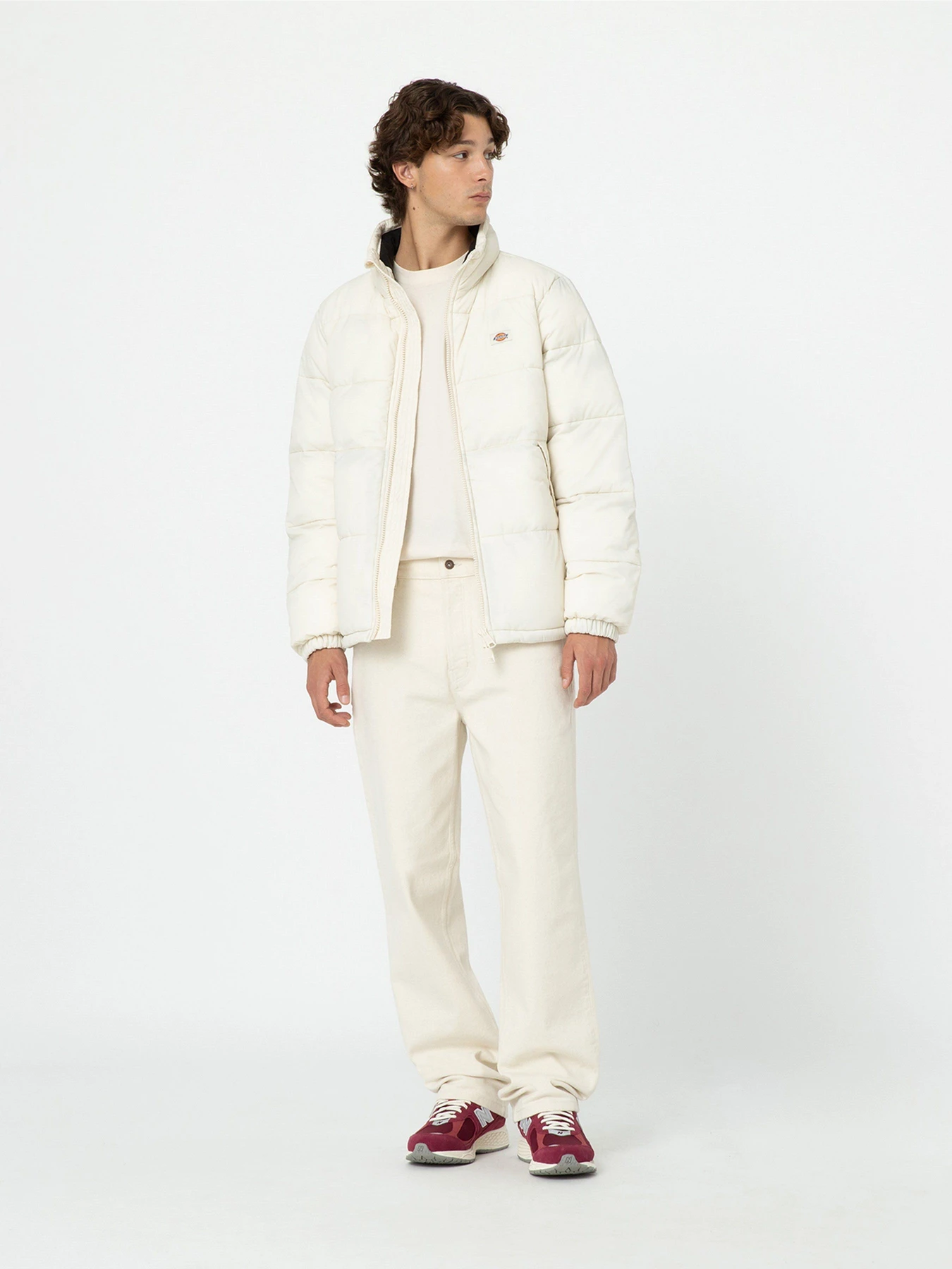 Куртки и дубленки Dickies Waldenburg модель DK0A4XP2F901 Куртки и дубленки Dickies Waldenburg модель DK0A4XP2F901 Фото