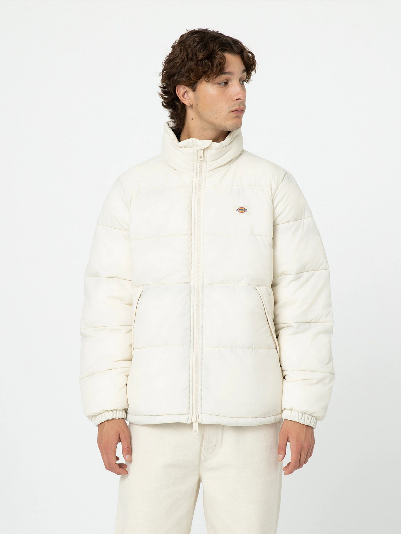 Куртки и дубленки Dickies Waldenburg модель DK0A4XP2F901 Куртки и дубленки Dickies Waldenburg модель DK0A4XP2F901 Фото