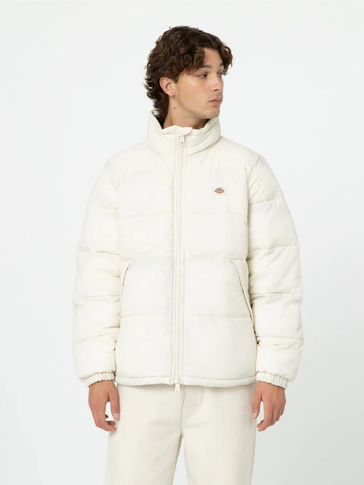 Куртки и дубленки Dickies Waldenburg модель DK0A4XP2F901 Фото
