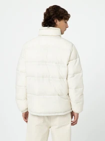 Куртки и дубленки Dickies Waldenburg модель DK0A4XP2F901 Фото