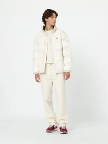 Куртки и дубленки Dickies Waldenburg модель DK0A4XP2F901 Фото