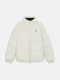 Куртки и дубленки Dickies Waldenburg модель DK0A4XP2F901 Фото