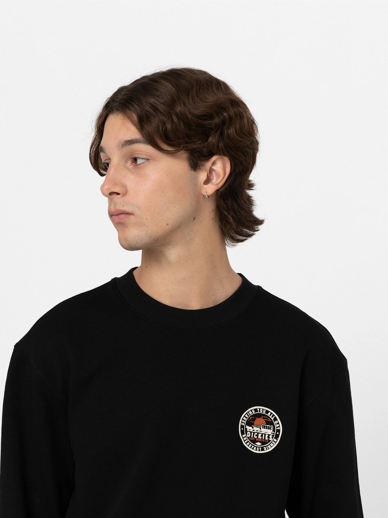 Худи и свитшоты Dickies Greensburg модель DK0A4YEJBLK1 Фото