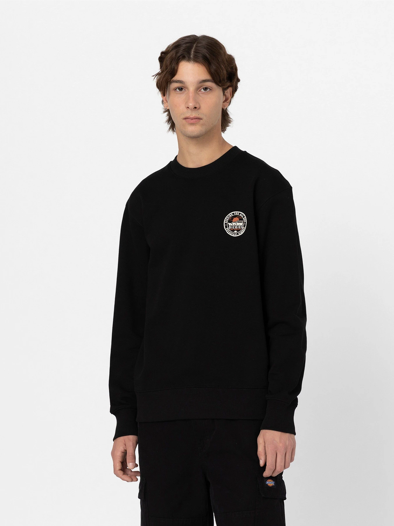 Худи и свитшоты Dickies Greensburg модель DK0A4YEJBLK1 Фото