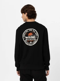Худи и свитшоты Dickies Greensburg модель DK0A4YEJBLK1 Фото
