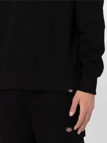 Худи и свитшоты Dickies Greensburg модель DK0A4YEJBLK1 Фото