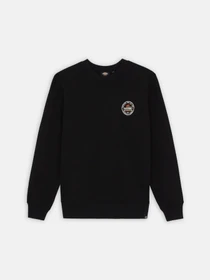 Худи и свитшоты Dickies Greensburg модель DK0A4YEJBLK1 Фото