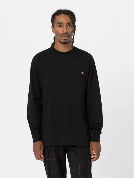 Худі та світшоти Dickies Trooper модель DK0A4YGHBLK1 Фото