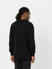 Худі та світшоти Dickies Trooper модель DK0A4YGHBLK1 Фото