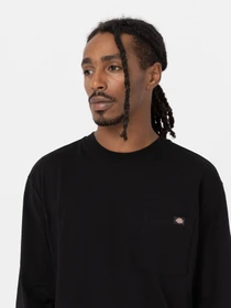 Худі та світшоти Dickies Trooper модель DK0A4YGHBLK1 Фото