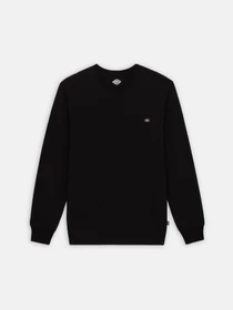 Худі та світшоти Dickies Trooper модель DK0A4YGHBLK1 Фото