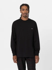 Худі та світшоти Dickies Trooper модель DK0A4YGHBLK1 Фото