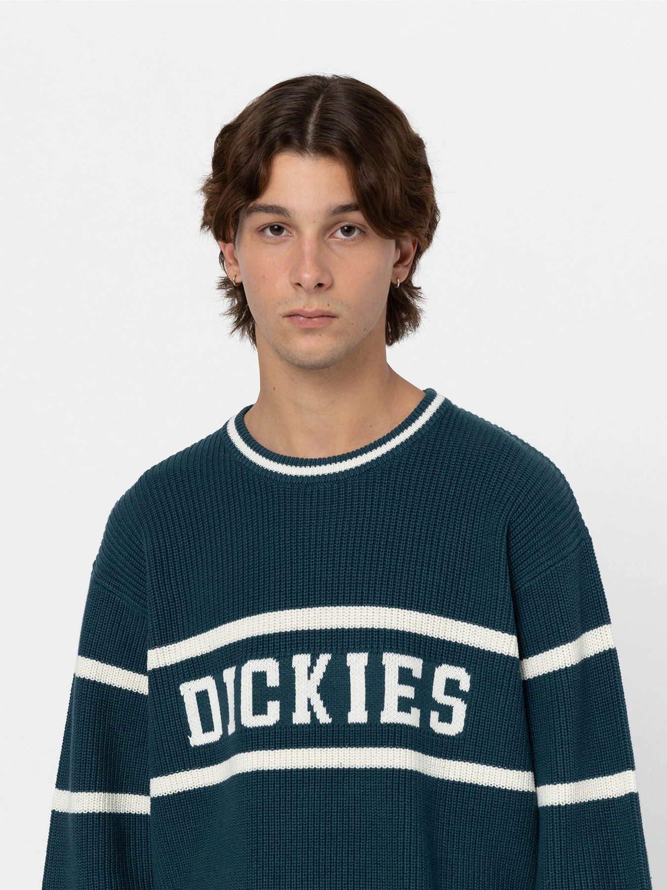 Светри та кардигани Dickies Melvern модель DK0A4YMCF971 Светри та кардигани Dickies Melvern модель DK0A4YMCF971 Фото