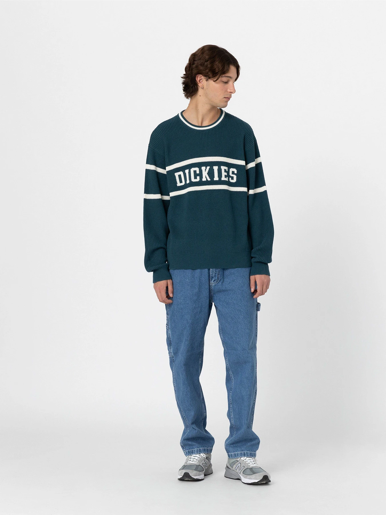 Светри та кардигани Dickies Melvern модель DK0A4YMCF971 Светри та кардигани Dickies Melvern модель DK0A4YMCF971 Фото