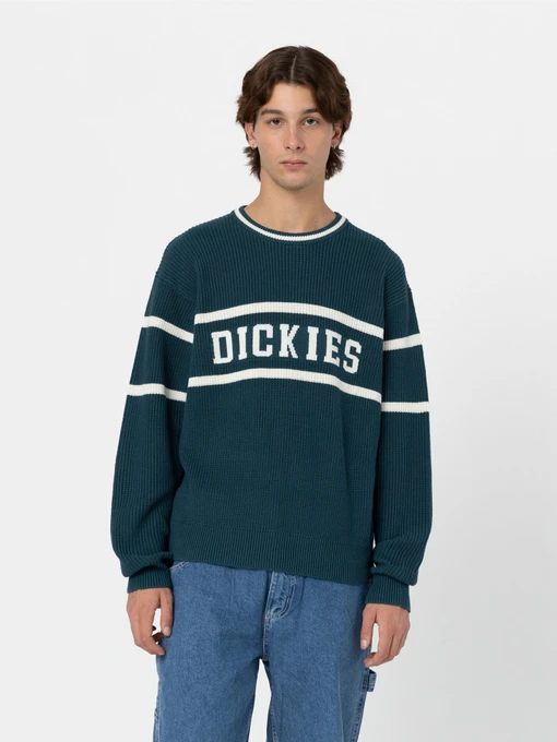 Светри та кардигани Dickies Melvern модель DK0A4YMCF971 Фото