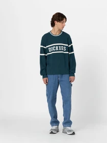 Светри та кардигани Dickies Melvern модель DK0A4YMCF971 Фото
