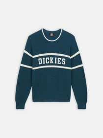 Светри та кардигани Dickies Melvern модель DK0A4YMCF971 Фото