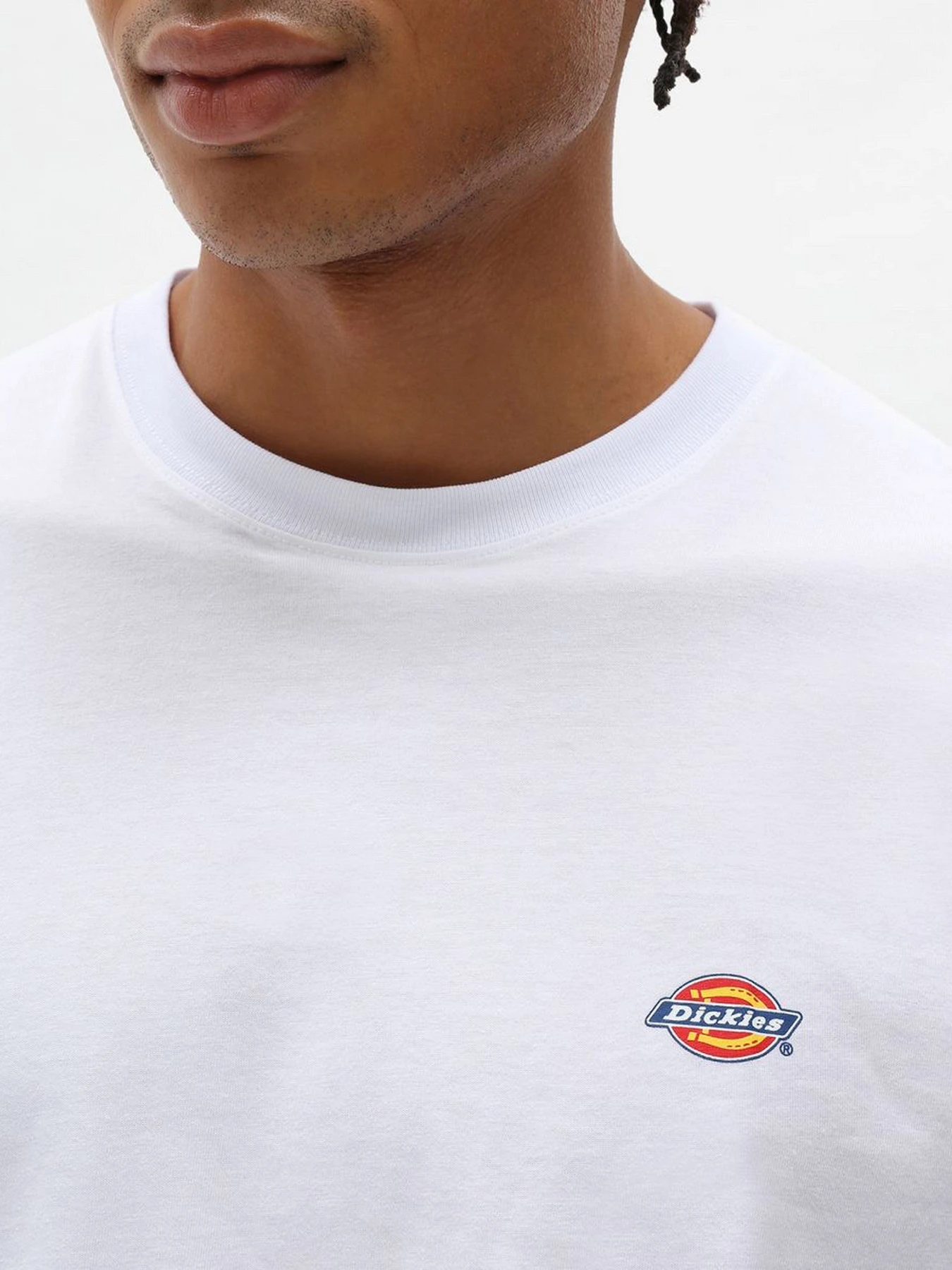 Футболки и поло Dickies SS Mapleton модель DK0A4XDBWHX1 Футболки и поло Dickies SS Mapleton модель DK0A4XDBWHX1 Фото
