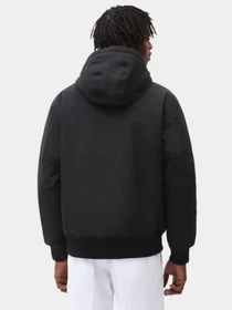 Куртки та дублянки Dickies Sarpy модель DK0A4XG8BLK1 Фото