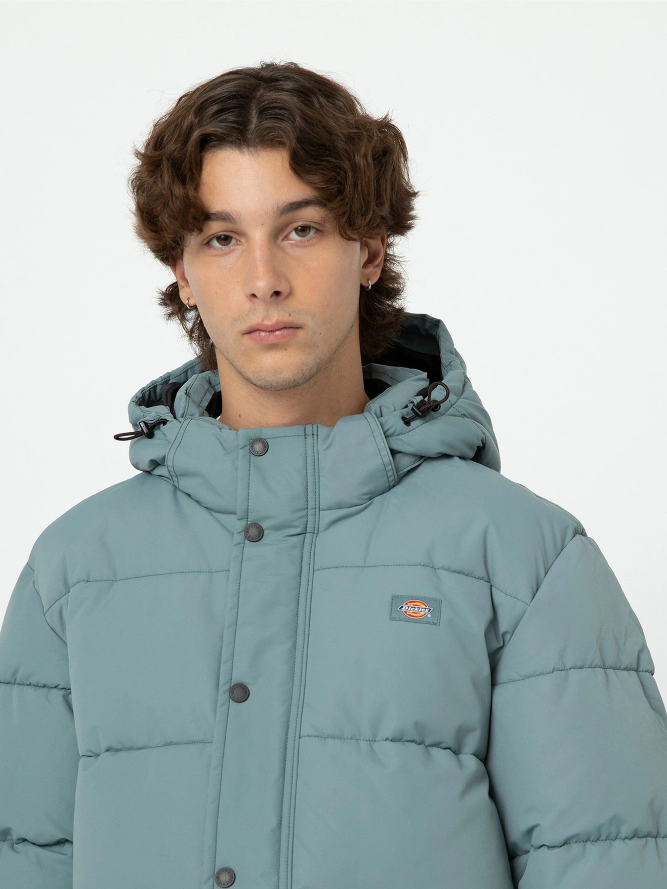Куртки и дубленки Dickies Glacier View модель DK0A4Y3WG071 Фото