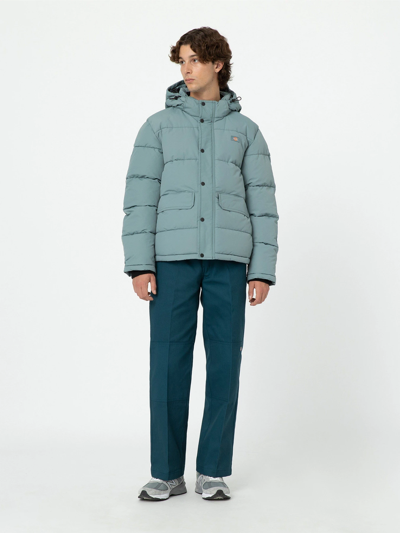 Куртки и дубленки Dickies Glacier View модель DK0A4Y3WG071 Фото