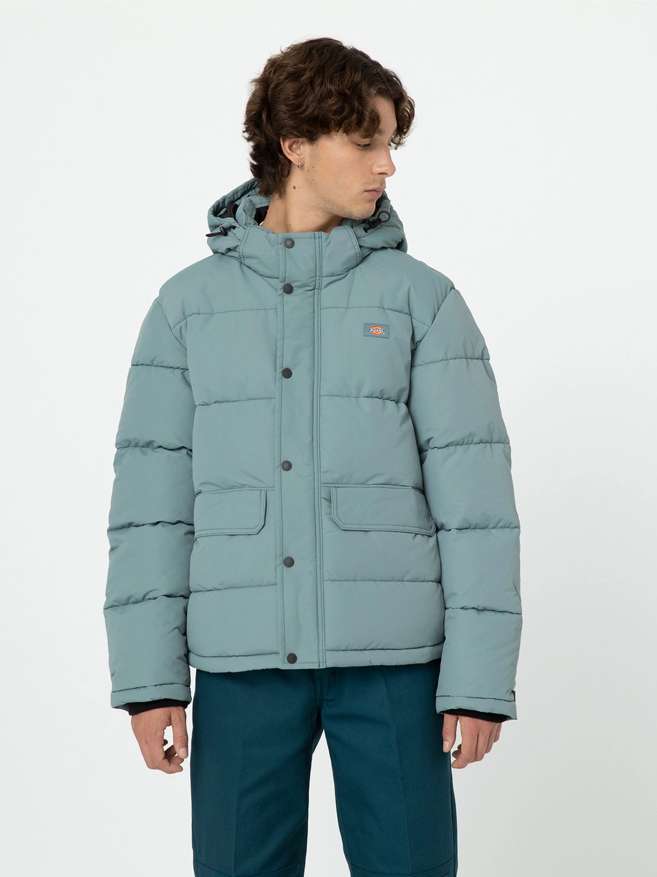 Куртки и дубленки Dickies Glacier View модель DK0A4Y3WG071 Фото