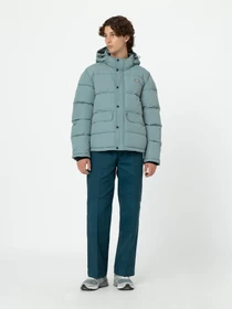 Куртки и дубленки Dickies Glacier View модель DK0A4Y3WG071 Фото