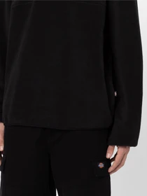 Худи и свитшоты Dickies Louisburg модель DK0A4YEDBLK1 Фото