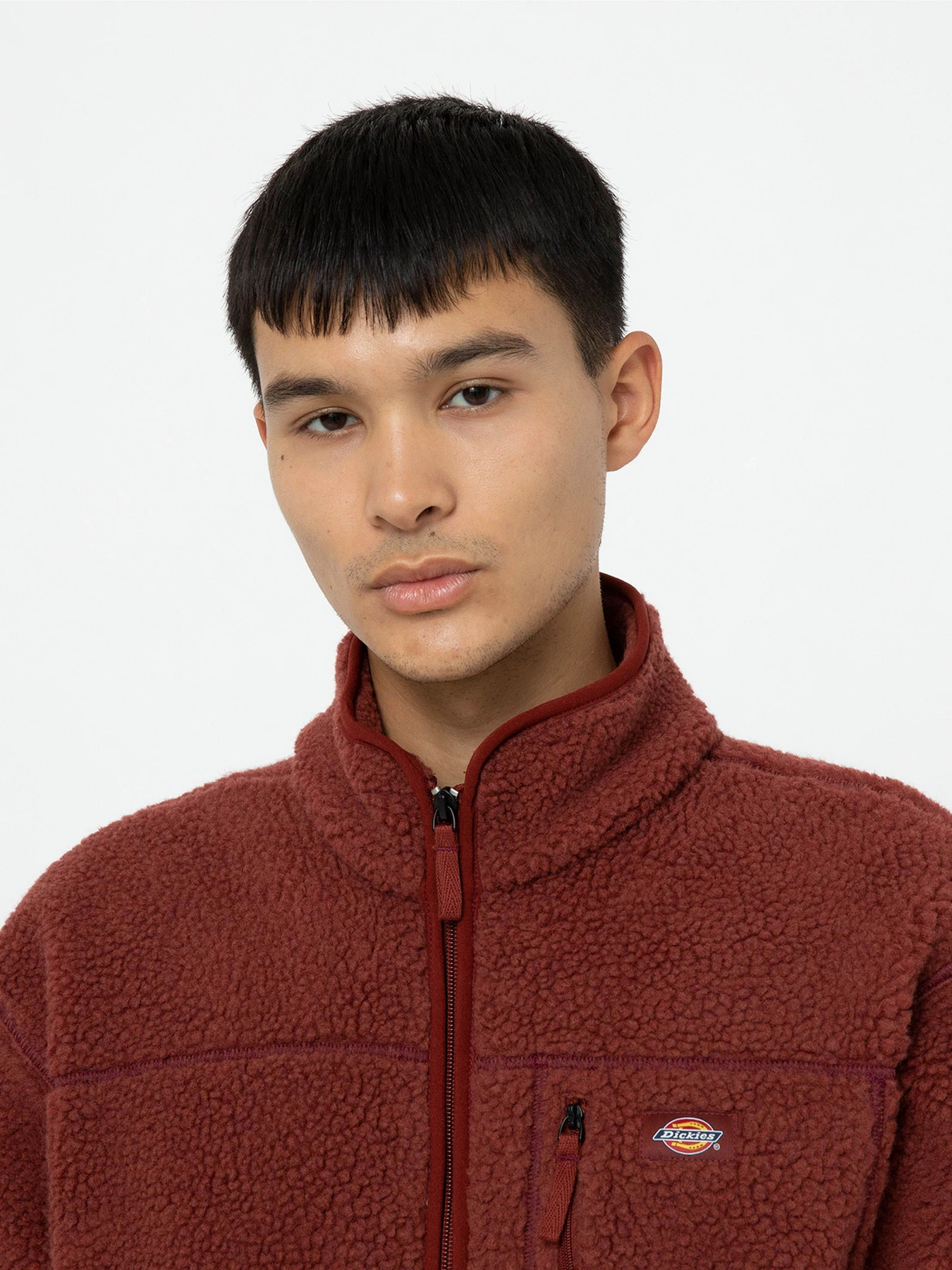 Худі та світшоти Dickies Mount Hope Fleece модель DK0A4YEEG041 Фото