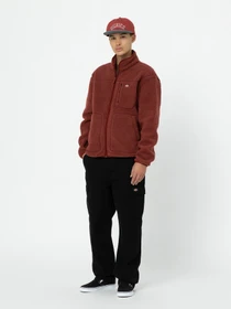 Худі та світшоти Dickies Mount Hope Fleece модель DK0A4YEEG041 Фото