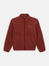 Худі та світшоти Dickies Mount Hope Fleece модель DK0A4YEEG041 Фото