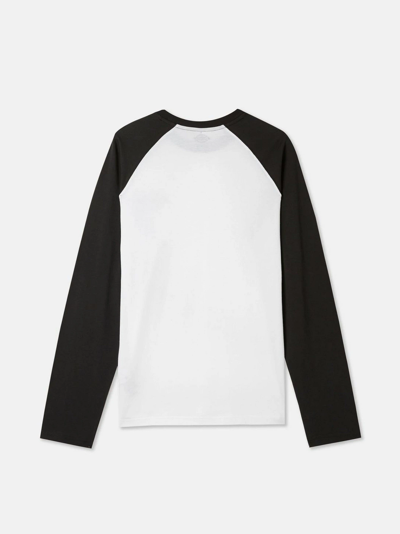 Худи и свитшоты Dickies LS Cologne модель DK0A4XDFBLW1 Худи и свитшоты Dickies LS Cologne модель DK0A4XDFBLW1 Фото