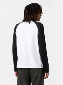 Худи и свитшоты Dickies LS Cologne модель DK0A4XDFBLW1 Фото