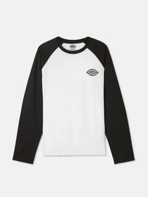 Худи и свитшоты Dickies LS Cologne модель DK0A4XDFBLW1 Фото