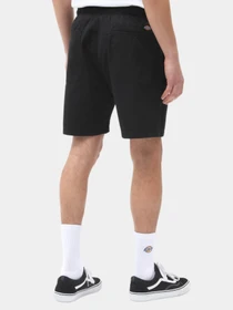 Шорти Dickies Pelican Rapids модель DK0A4XB2BLK1 Фото