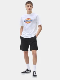 Шорти Dickies Pelican Rapids модель DK0A4XB2BLK1 Фото