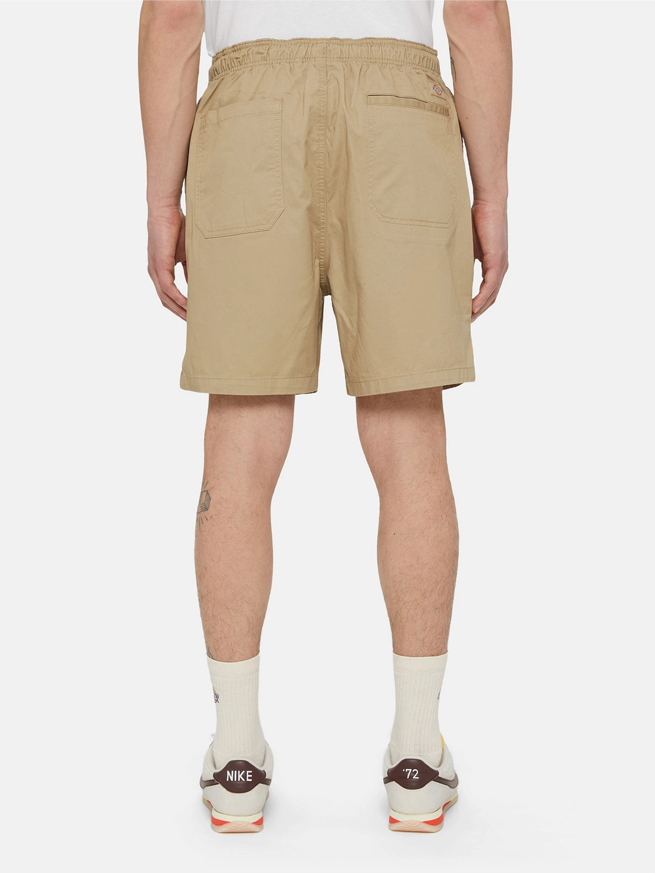 Шорти Dickies Pelican Rapids модель DK0A4XB2DS01 Фото
