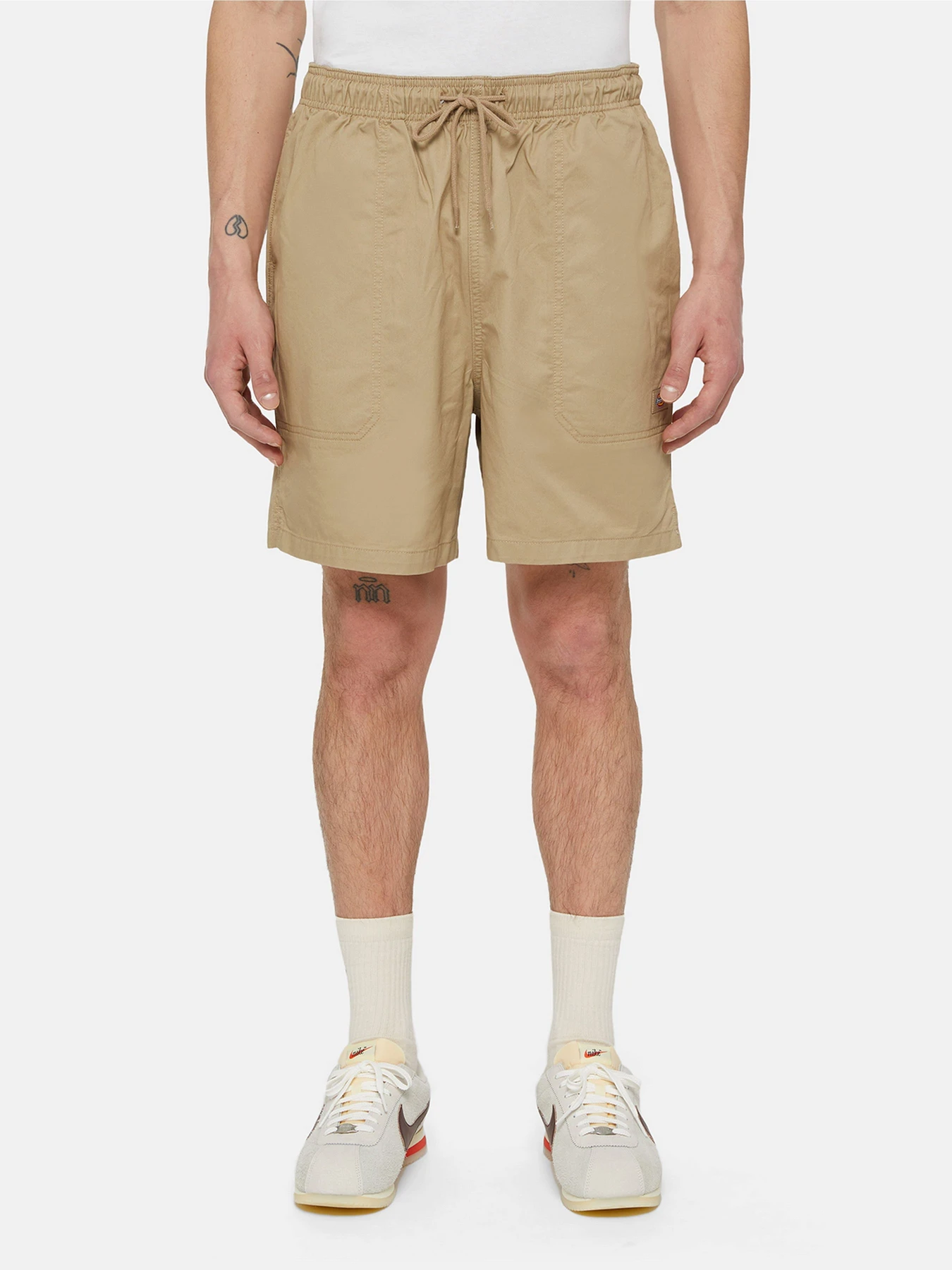 Шорти Dickies Pelican Rapids модель DK0A4XB2DS01 Фото