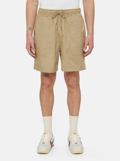 Шорти Dickies Pelican Rapids модель DK0A4XB2DS01 Фото