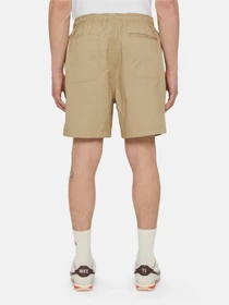 Шорти Dickies Pelican Rapids модель DK0A4XB2DS01 Фото