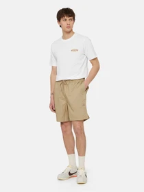Шорти Dickies Pelican Rapids модель DK0A4XB2DS01 Фото