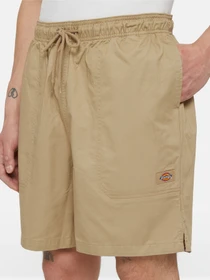 Шорти Dickies Pelican Rapids модель DK0A4XB2DS01 Фото