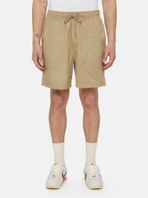 Шорти Dickies Pelican Rapids модель DK0A4XB2DS01 Фото