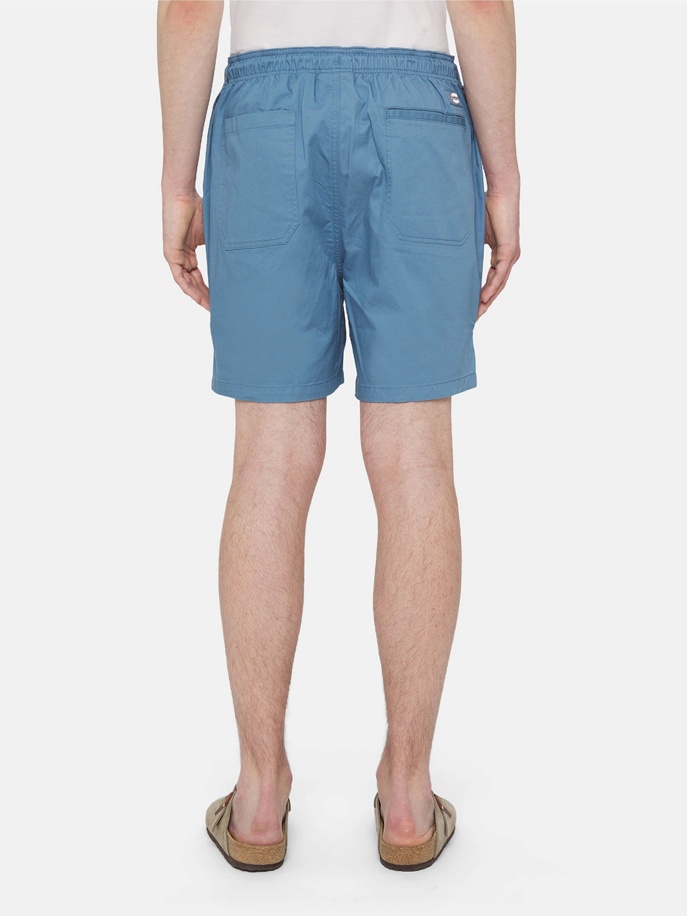 Шорти Dickies Pelican Rapids модель DK0A4XB2H171 Фото