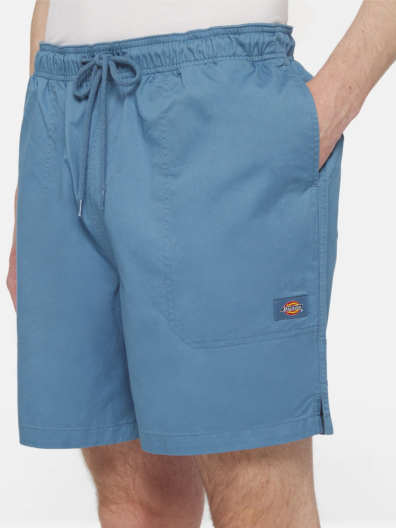 Шорти Dickies Pelican Rapids модель DK0A4XB2H171 Фото