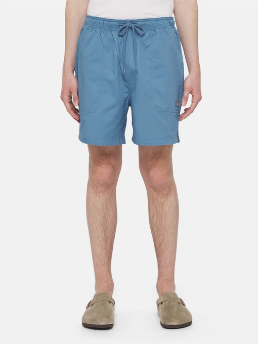Шорты Dickies Pelican Rapids модель DK0A4XB2H171 Фото