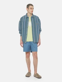 Шорти Dickies Pelican Rapids модель DK0A4XB2H171 Фото