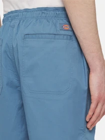 Шорти Dickies Pelican Rapids модель DK0A4XB2H171 Фото