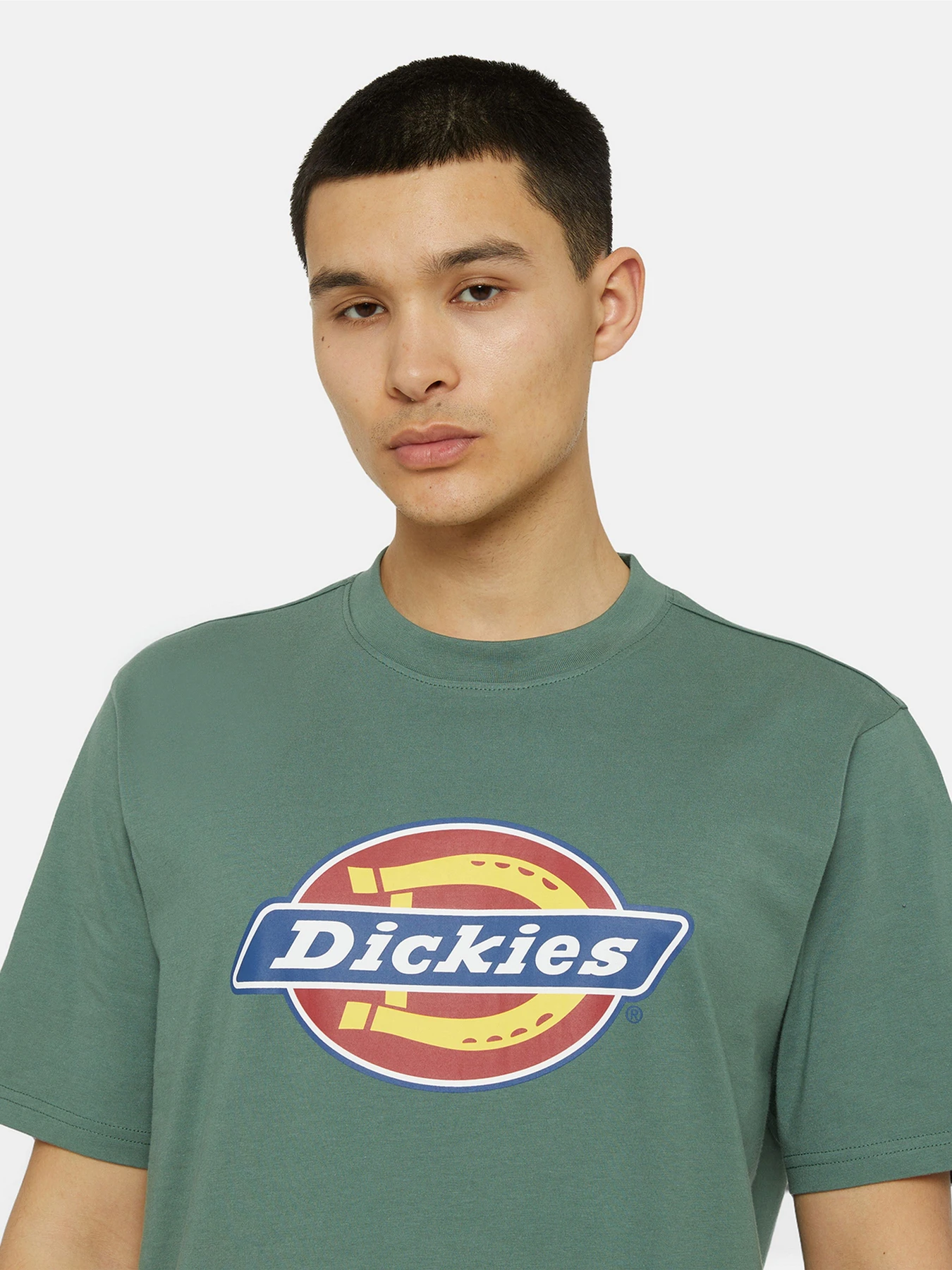 Футболки і поло Dickies Icon Logo модель DK0A4XC9H151 Фото